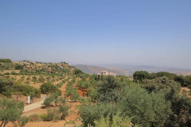 Image No.30-Maison / Villa de 2 chambres à vendre à Casarabonela