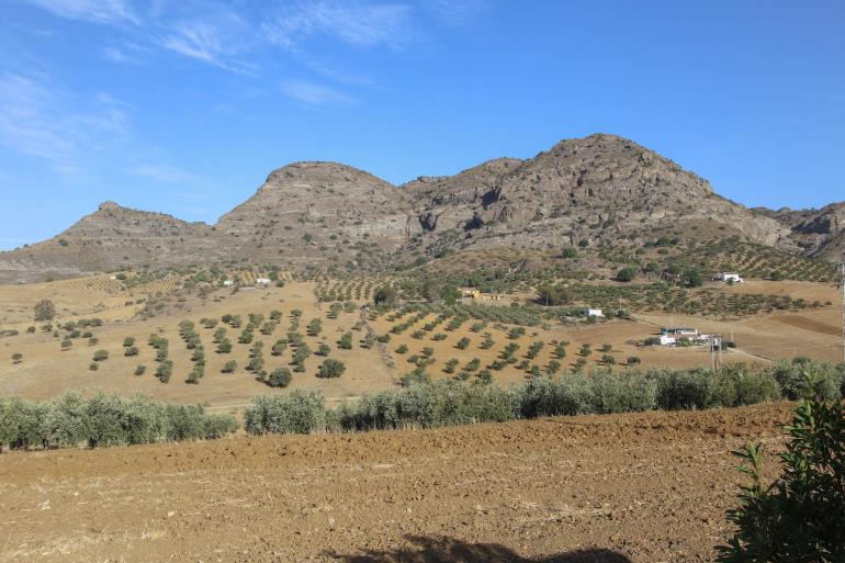 Image No.2-Finca de 3 chambres à vendre à Pizarra