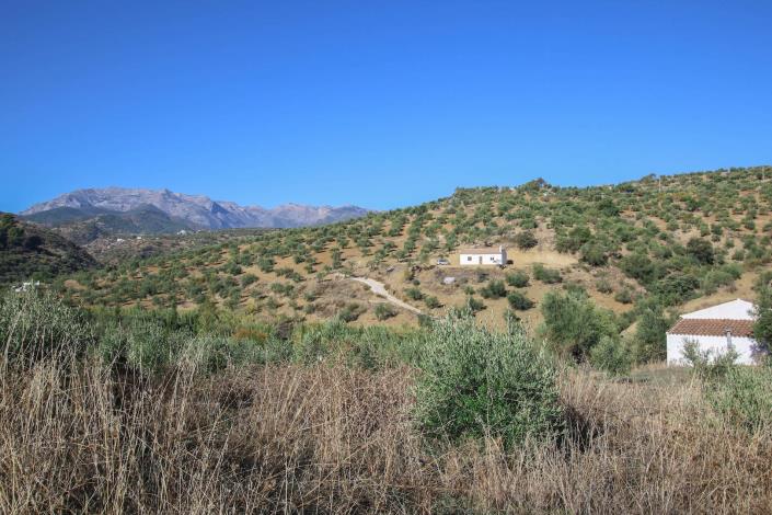 Image No.2-2 Bed Finca for sale