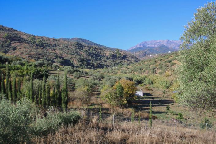 Image No.8-2 Bed Finca for sale