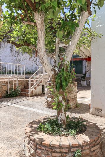 Image No.39-Maison de ville de 4 chambres à vendre à Guaro