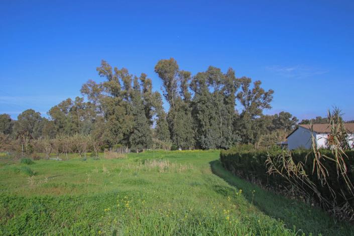 Image No.27-Villa / Détaché de 2 chambres à vendre à Coin