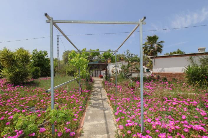 Image No.24-Maison de campagne de 4 chambres à vendre à Alhaurín el Grande