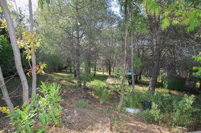 1 - Alhaurín de la Torre, Terrain