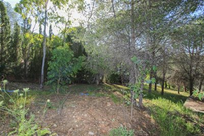 Grapevine Properties SL most sold property
