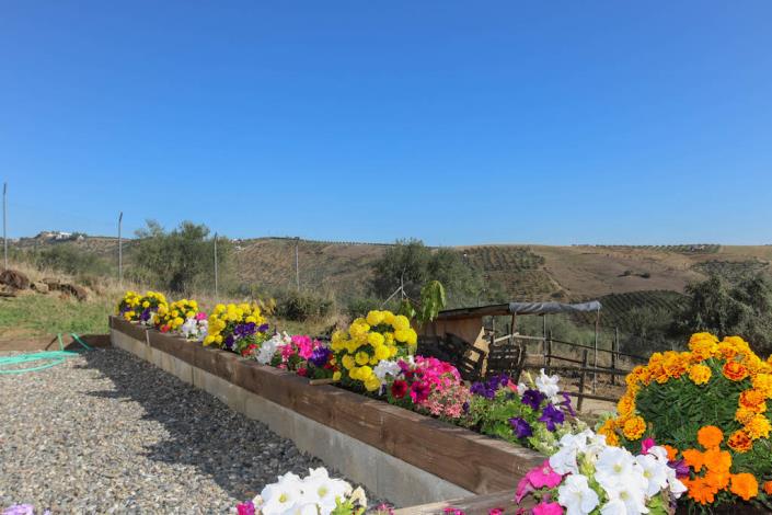 Image No.19-3 Bed Country Property for sale