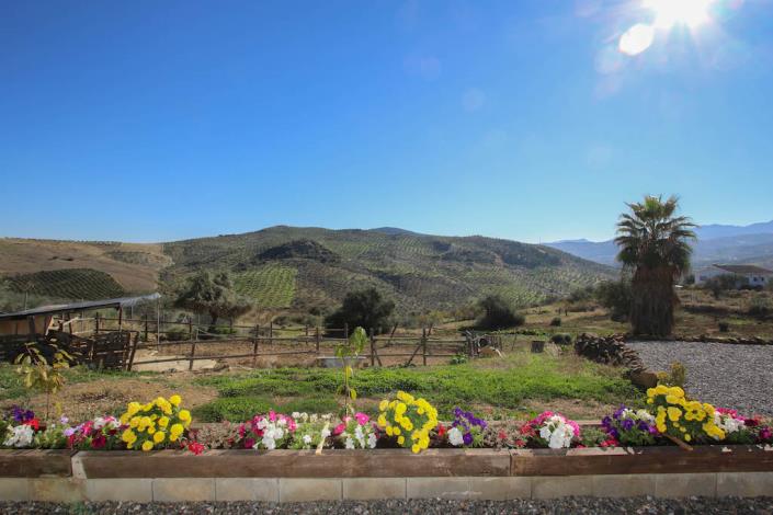 Image No.22-3 Bed Country Property for sale