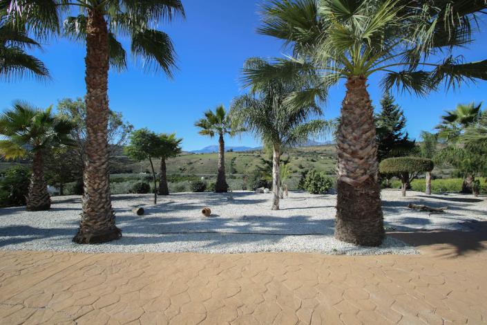 Image No.5-Villa / Détaché de 3 chambres à vendre à Pizarra