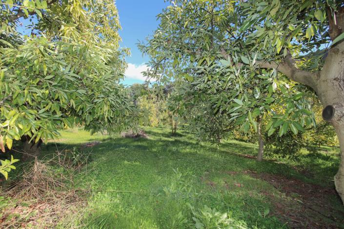 Image No.3-Ferme de 1 chambre à vendre à Tolox