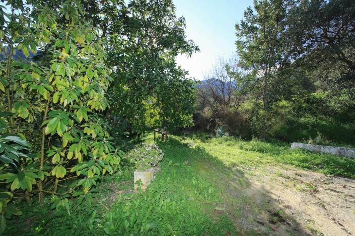 Image No.26-Ferme de 1 chambre à vendre à Tolox