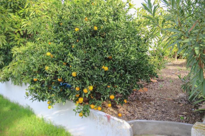 Image No.30-3 Bed House/Villa for sale