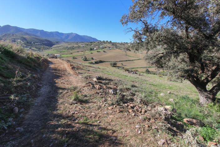 Image No.3-Land for sale