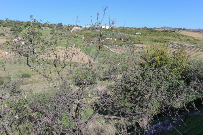 Image No.10-Land for sale