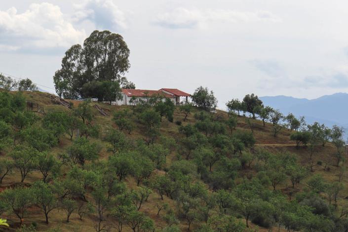 Image No.3-Maison de campagne de 3 chambres à vendre à Casarabonela