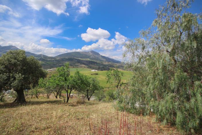 Image No.4-Maison de campagne de 3 chambres à vendre à Casarabonela