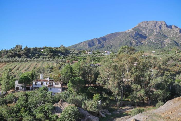 Image No.6-5 Bed Country House for sale