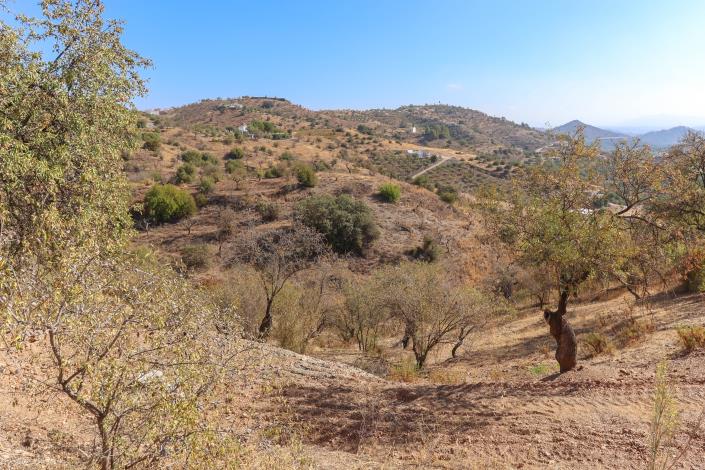 Image No.4-3 Bed Villa / Detached for sale