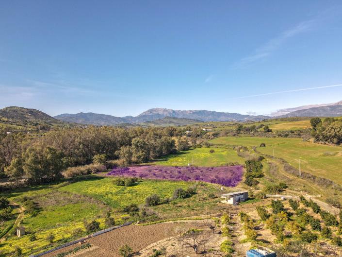 Image No.33-Jumelé de 3 chambres à vendre à Coin