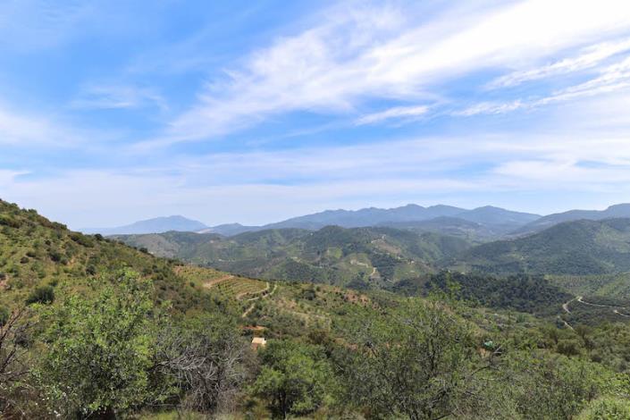 Image No.5-Villa / Détaché de 1 chambre à vendre à Tolox