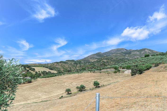 Image No.5-Villa / Détaché de 2 chambres à vendre à Casarabonela