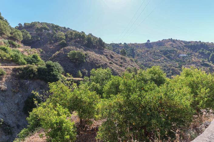 Image No.39-Villa / Détaché de 3 chambres à vendre à Alozaina