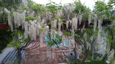 IMG-20210411-WA0003