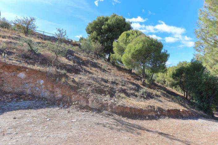 Image No.8-Terre à vendre à Guaro