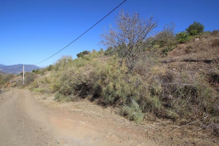 Image No.7-Land for sale