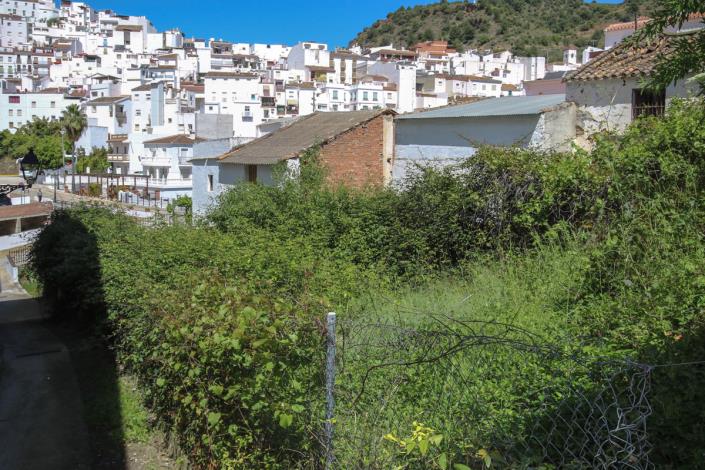 Image No.4-Terre à vendre à Tolox