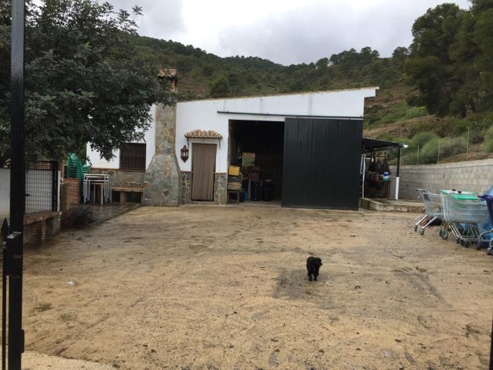 Image No.2-Terre à vendre à Tolox