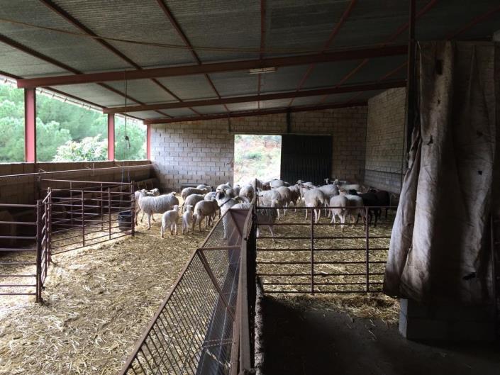 Image No.3-Terre à vendre à Tolox