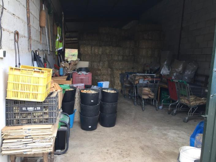 Image No.10-Terre à vendre à Tolox