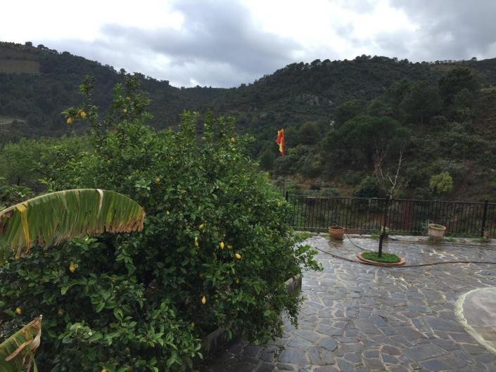 Image No.18-Terre à vendre à Tolox