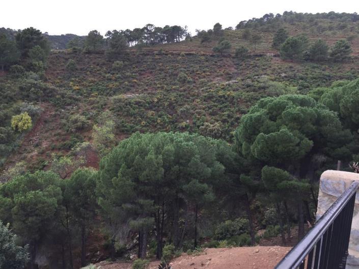 Image No.21-Terre à vendre à Tolox