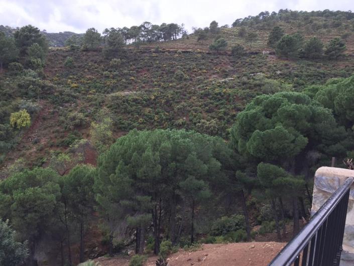 Image No.22-Terre à vendre à Tolox