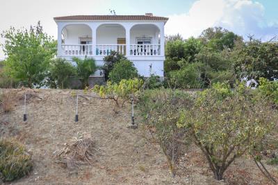 Grapevine Properties SL most sold property