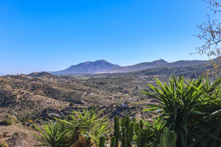 Image No.52-Villa / Détaché de 3 chambres à vendre à Monda