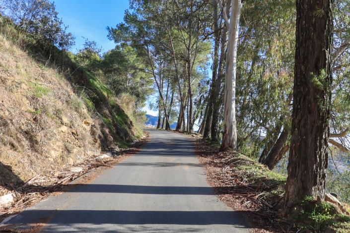 Image No.40-Villa / Détaché de 1 chambre à vendre à Yunquera