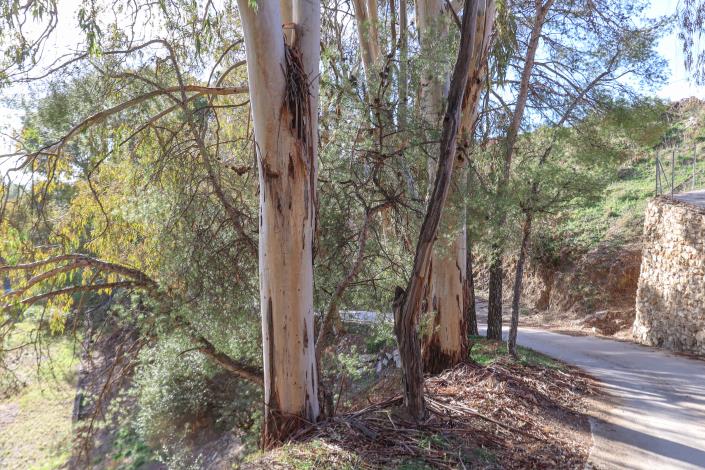 Image No.42-Villa / Détaché de 1 chambre à vendre à Yunquera
