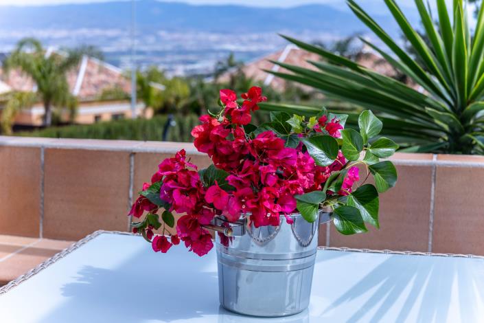 Image No.57-Villa / Détaché à vendre à Alhaurín de la Torre