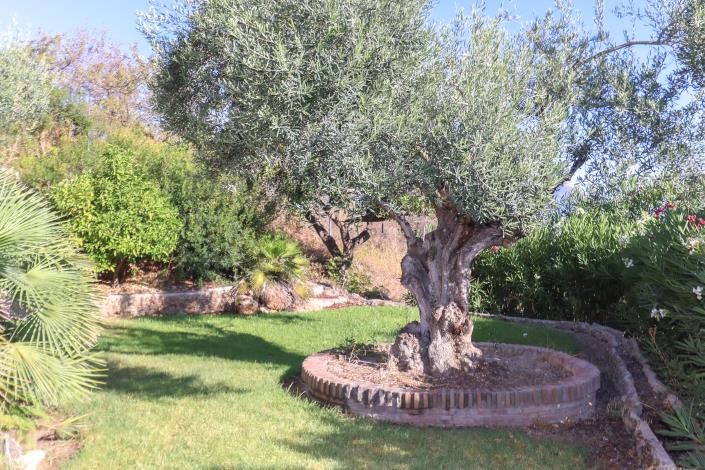 Image No.8-6 Bed Villa / Detached for sale