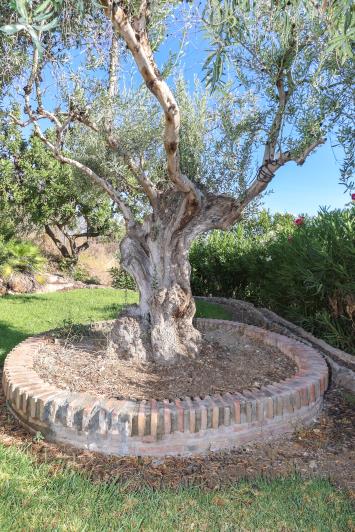 Image No.59-6 Bed Villa / Detached for sale