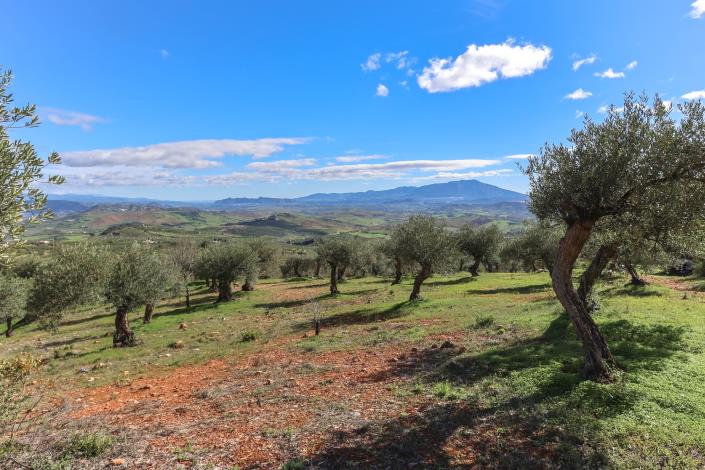 Image No.7-Villa / Détaché de 2 chambres à vendre à Alozaina
