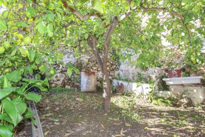 jardin-tracero