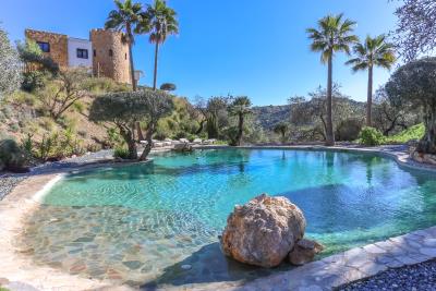 Grapevine Properties SL most sold property