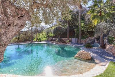 Grapevine Properties SL most sold property