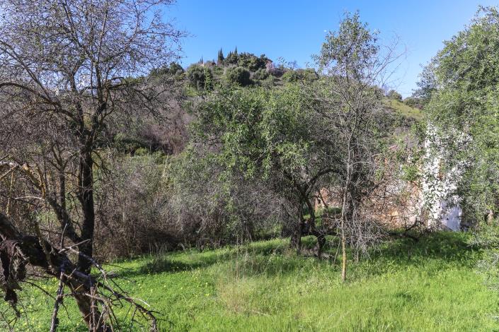 Image No.10-Commercial for sale