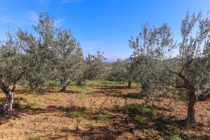 Image No.49-4 Bed Villa / Detached for sale