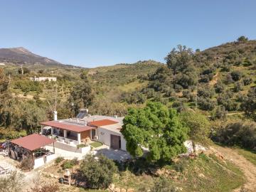 DJI_0486