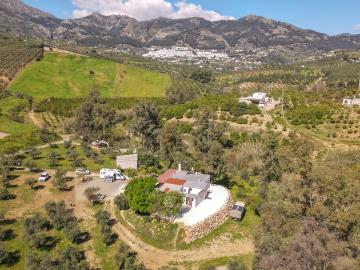 Grapevine Properties SL most sold property